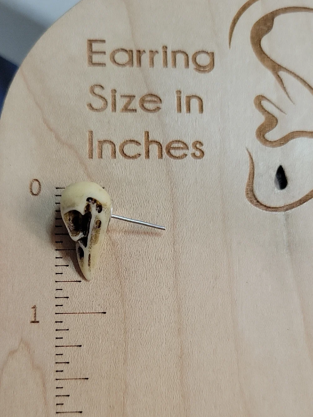 🔥LAST PAIR🔥 Realistic Poe Macabre Bird Skull Stud Earrings